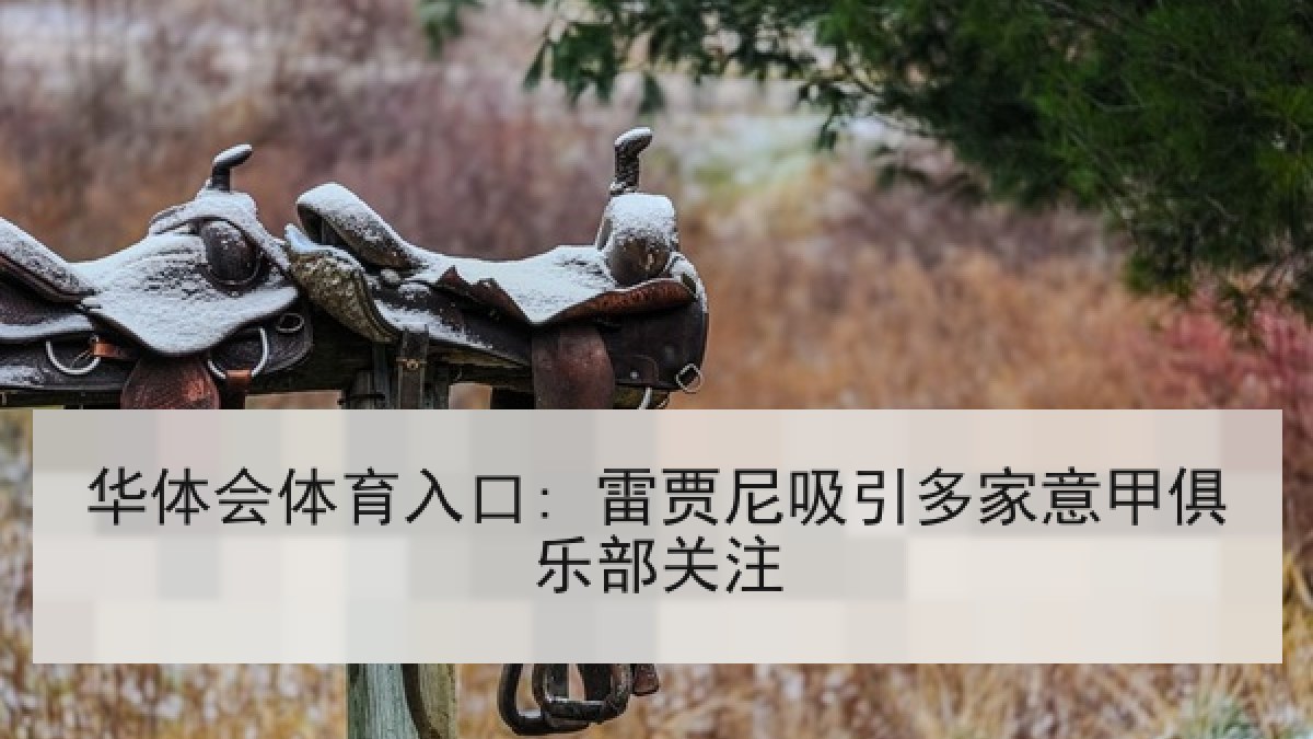华体会体育入口: 雷贾尼吸引多家意甲俱乐部关注