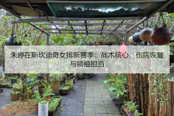 朱婷在斯坎迪奇女排新赛季：战术核心、伤病恢复与领袖担当