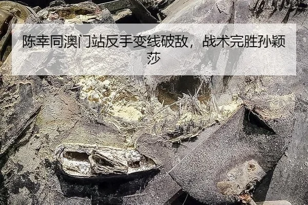 陈幸同澳门站反手变线破敌，战术完胜孙颖莎