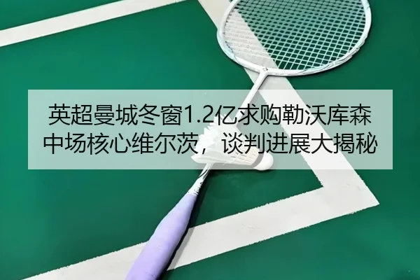英超曼城冬窗1.2亿求购勒沃库森中场核心维尔茨，谈判进展大揭秘
